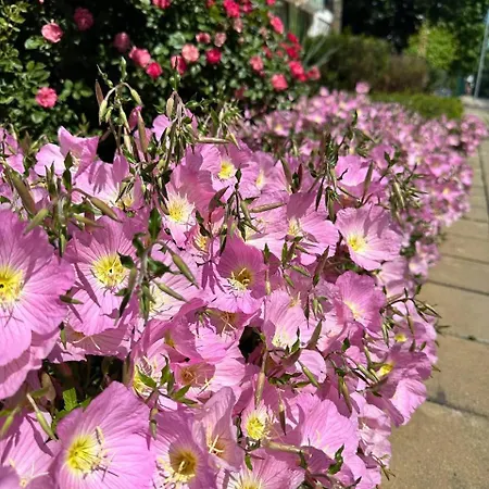 Mint Casa Rossa Apartment Sunny Beach