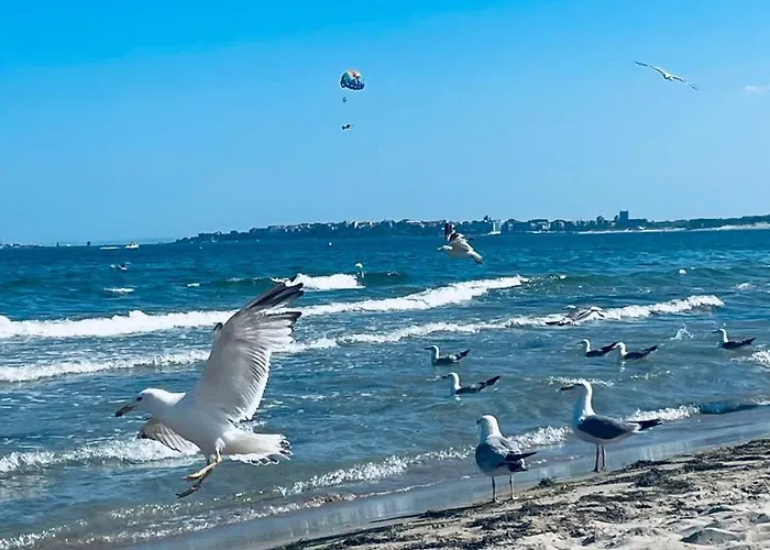 Apartamento Mint Casa Rossa Sunny Beach