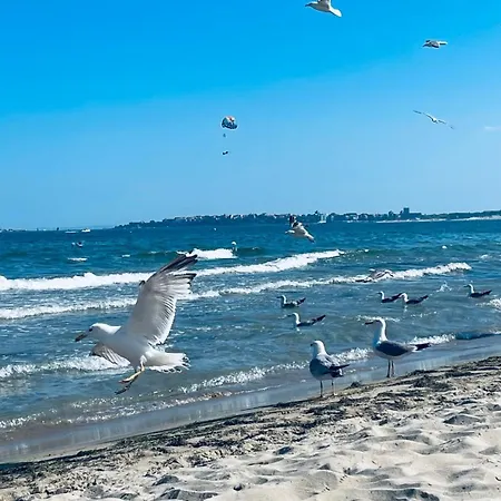 公寓 Mint Casa Rossa 阳光海滩